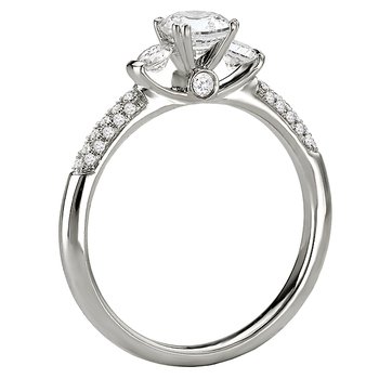 Complete Diamond Ring