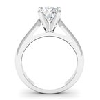 Cathedral Engagement Ring with Tapered Shank