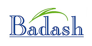 Badash Crystal Logo