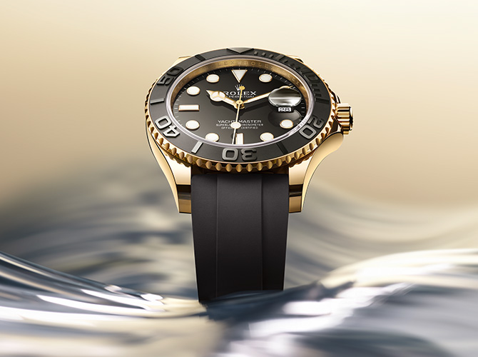 YACHT-MASTER 42 - D.C. Taylor Jewellers