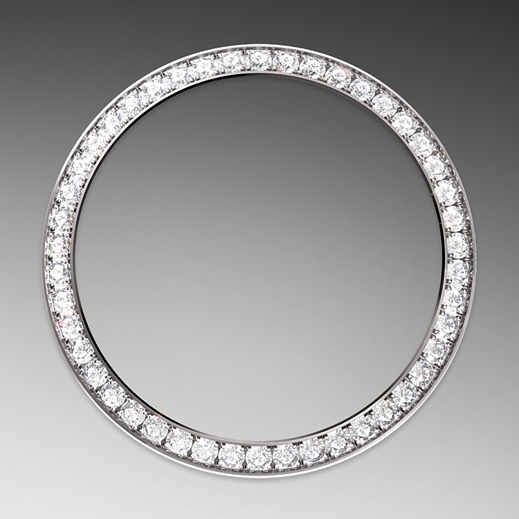 Datejust 31 278289RBR Feature Image - Haltom's Jewelers